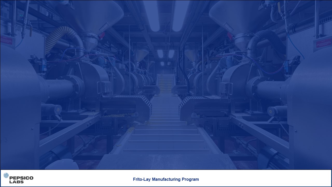 Frito-Lay Manufacturing Program